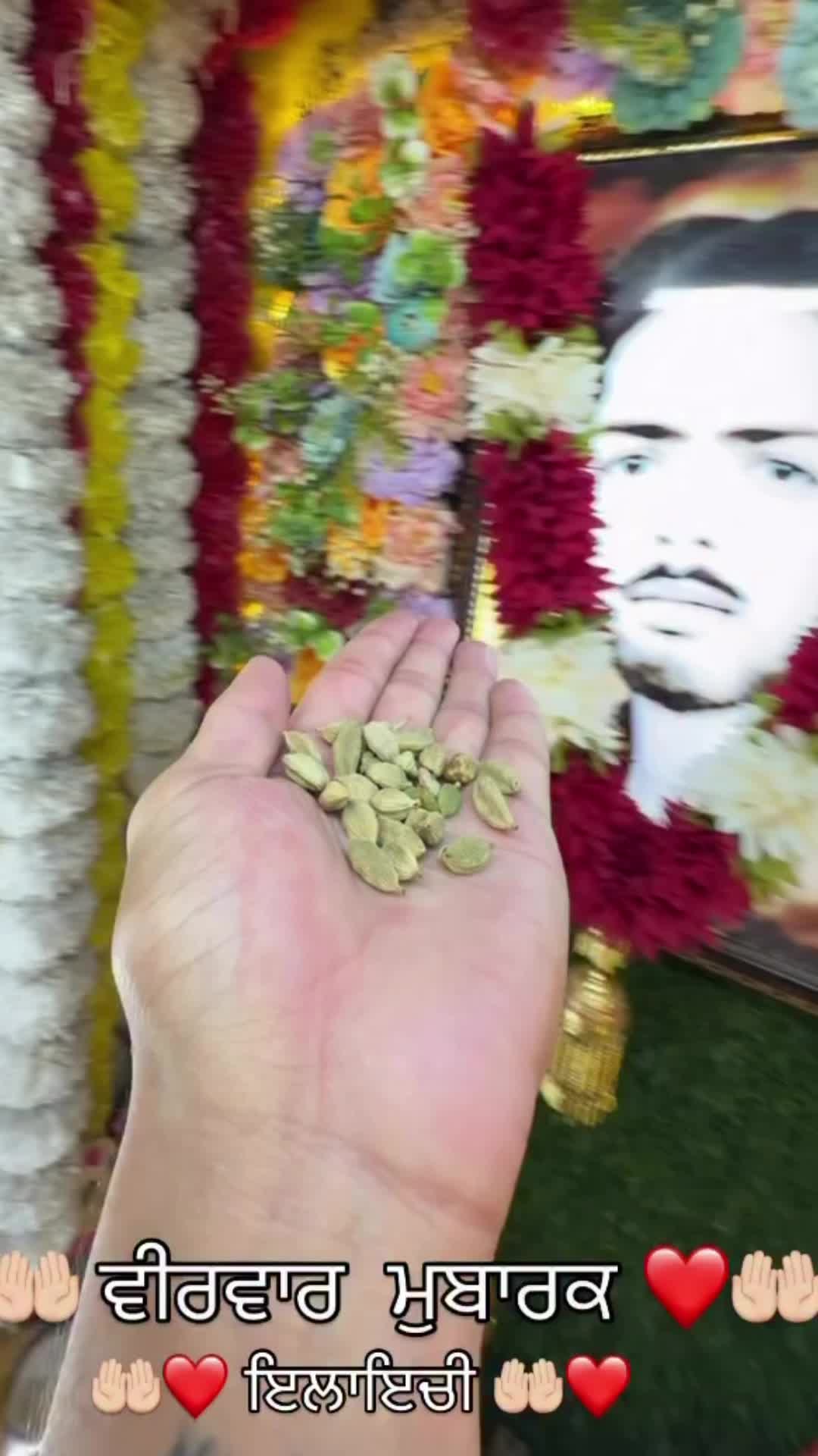 @Darbarsai_ji786