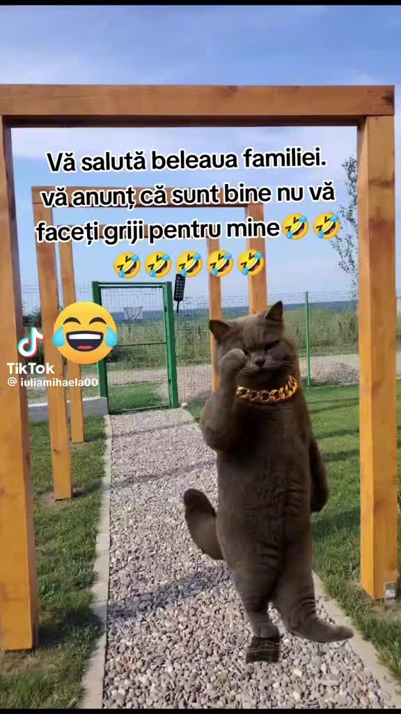 @Miha Miha