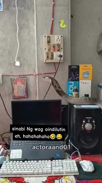 @Parekoitv
