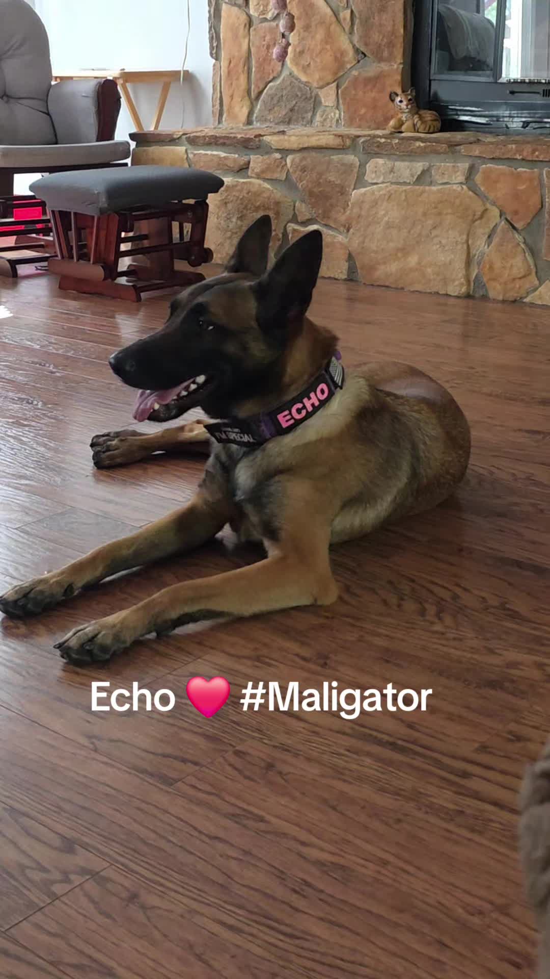 @Echo!