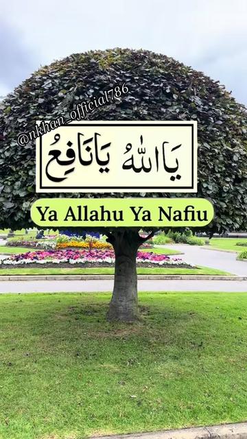 @Sister N Khan♥️