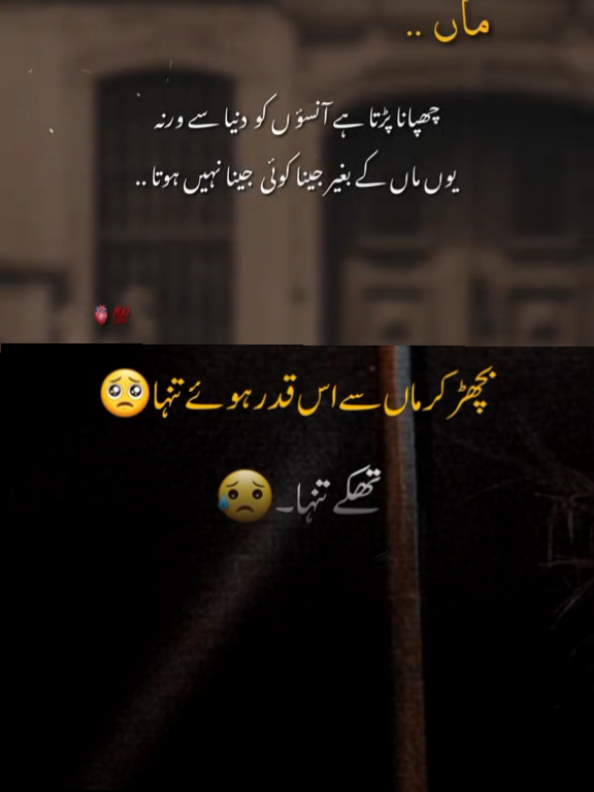 @MR USMAN WRITE
