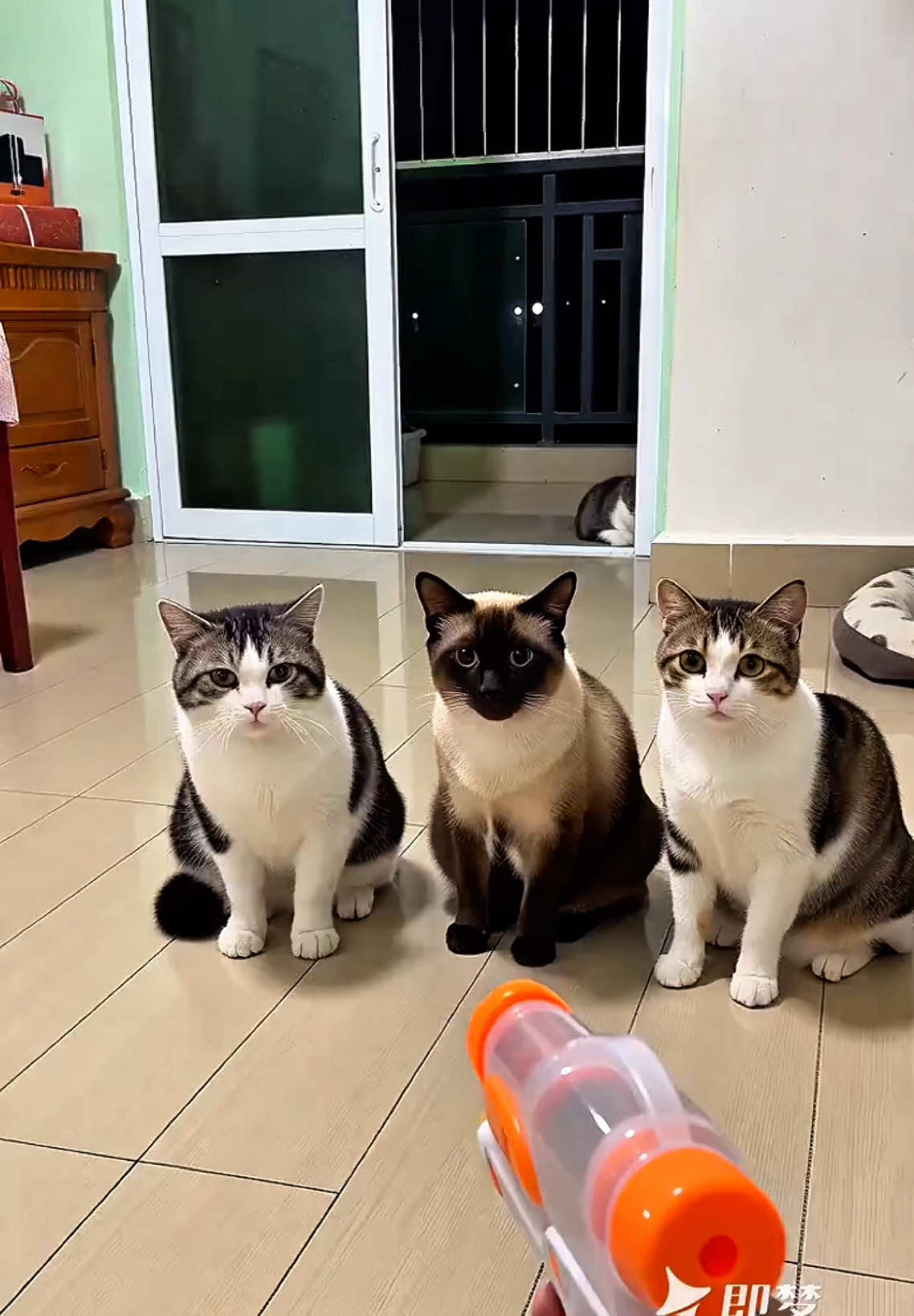 @M&egrave;o 247