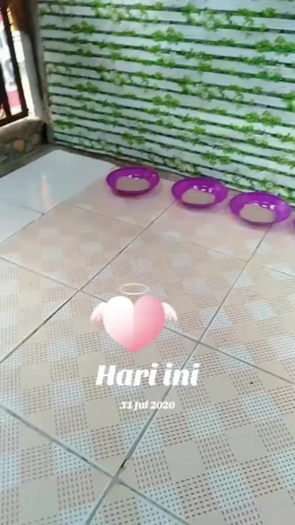 @mama meong♥️🐈🇮🇩🇲🇾_acro