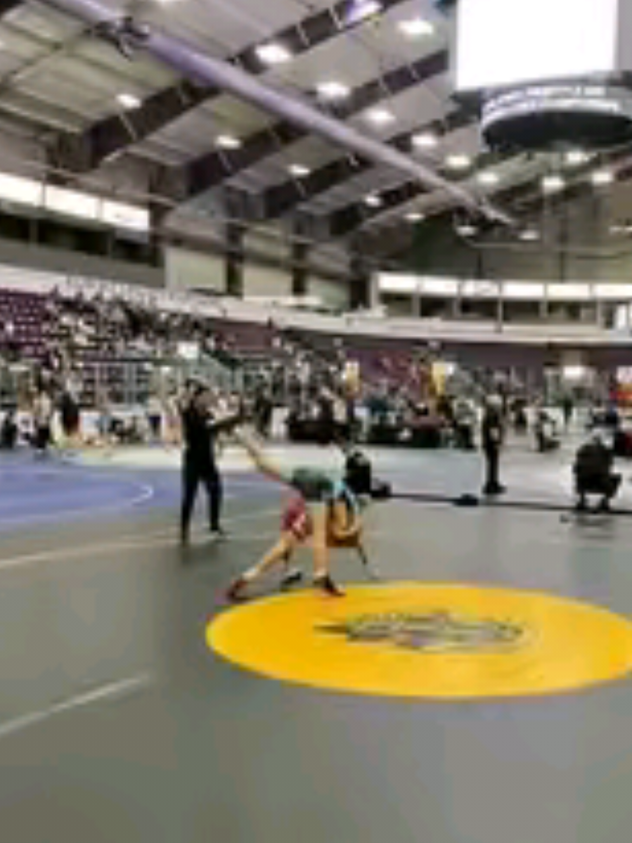 @American Wrestling Academy