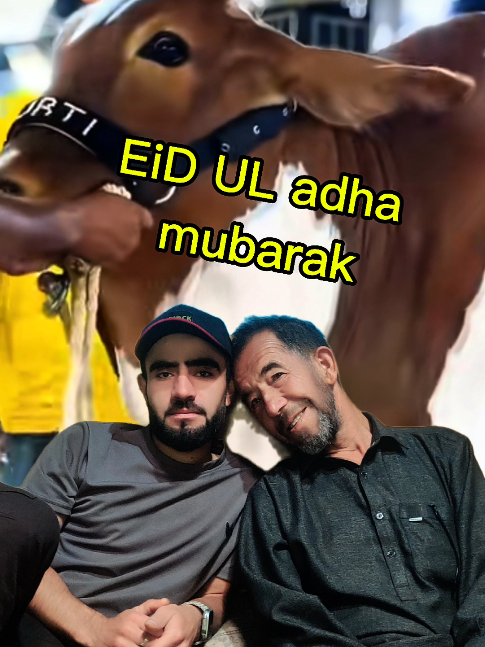 @MR-Khalil360
