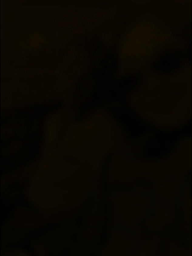 @Dhindhiya