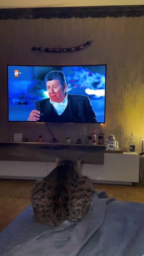 @onur_3801🧿♥️🗣️🦅🇹🇷🇩🇪