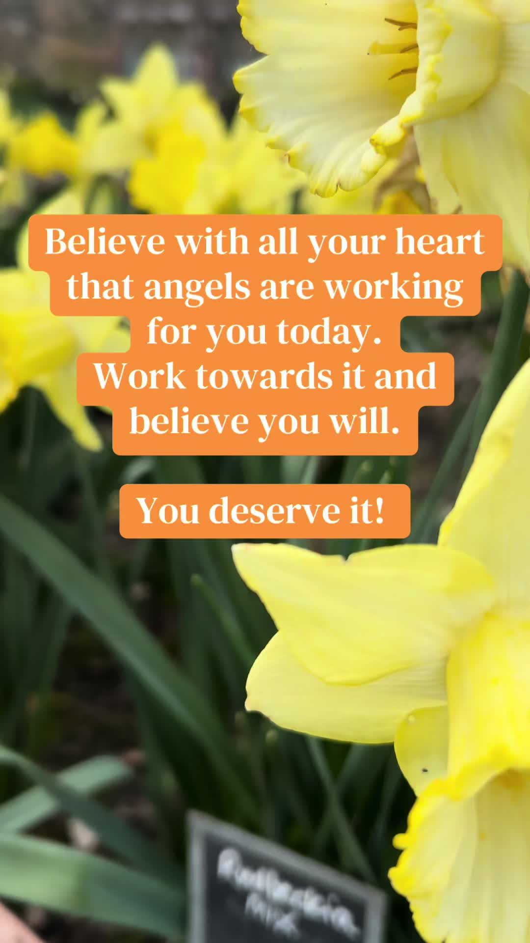 @siska.redman.coach