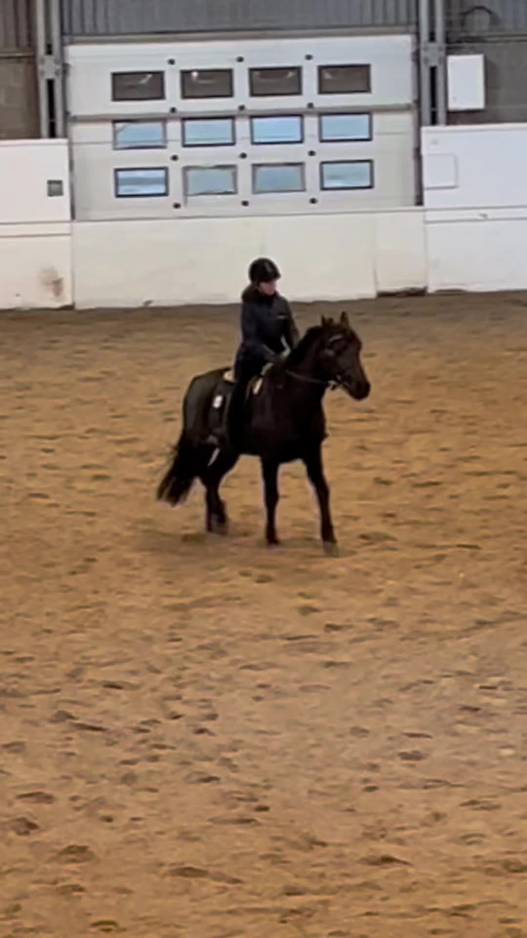 @mathilde 💕🐴