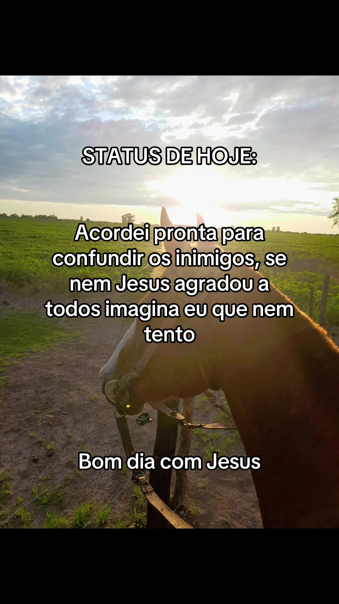 @Somodaogo