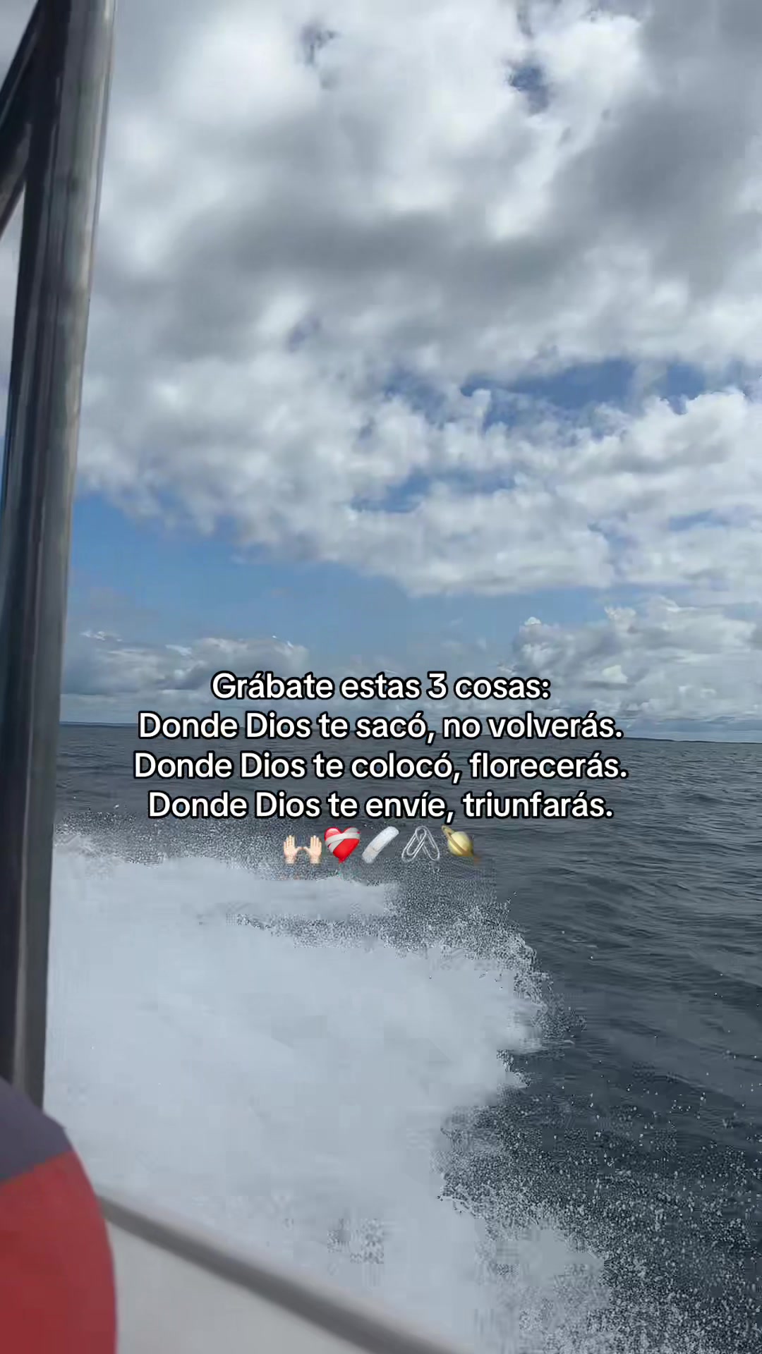 @olguis058🤍✨