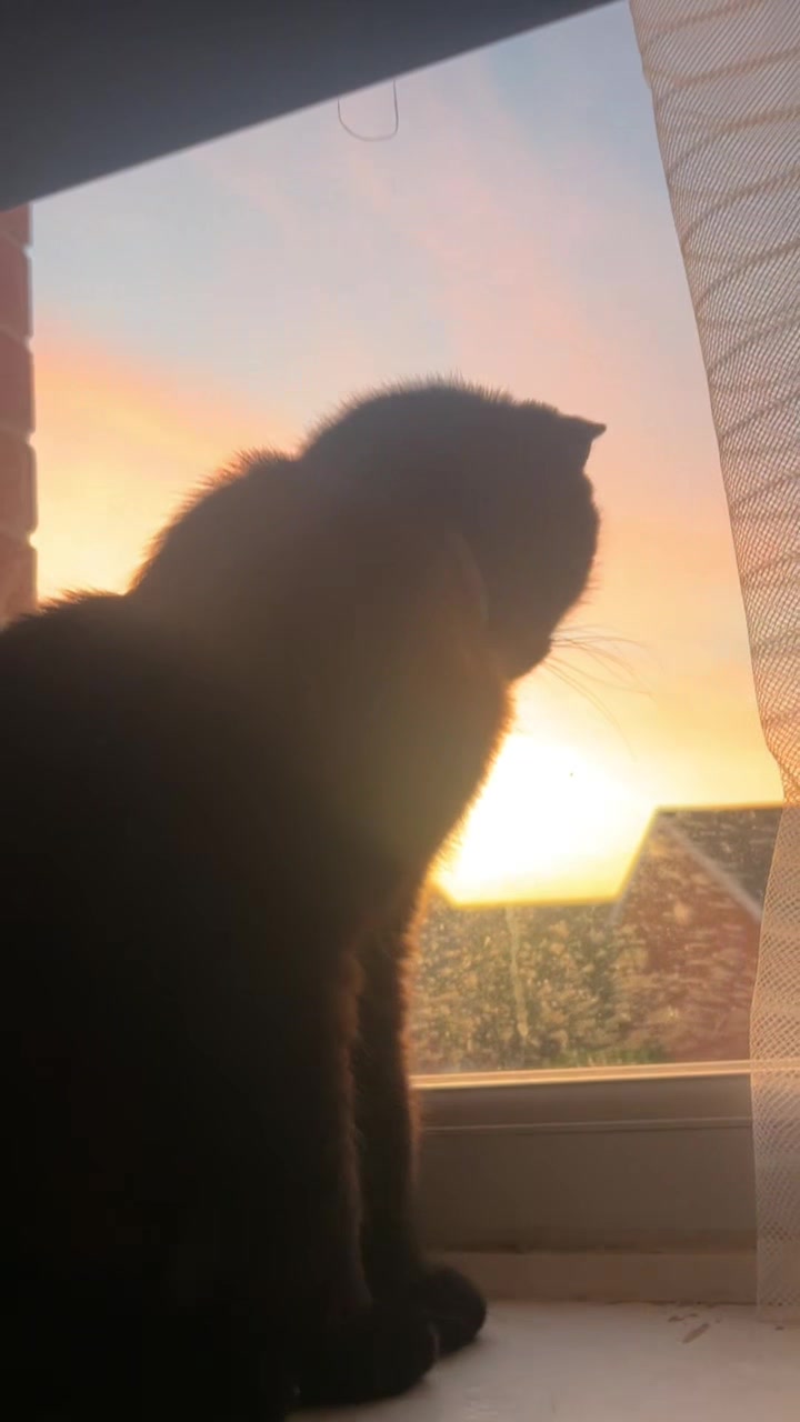 @𝐊𝐞𝐢𝐫𝐚𓆉