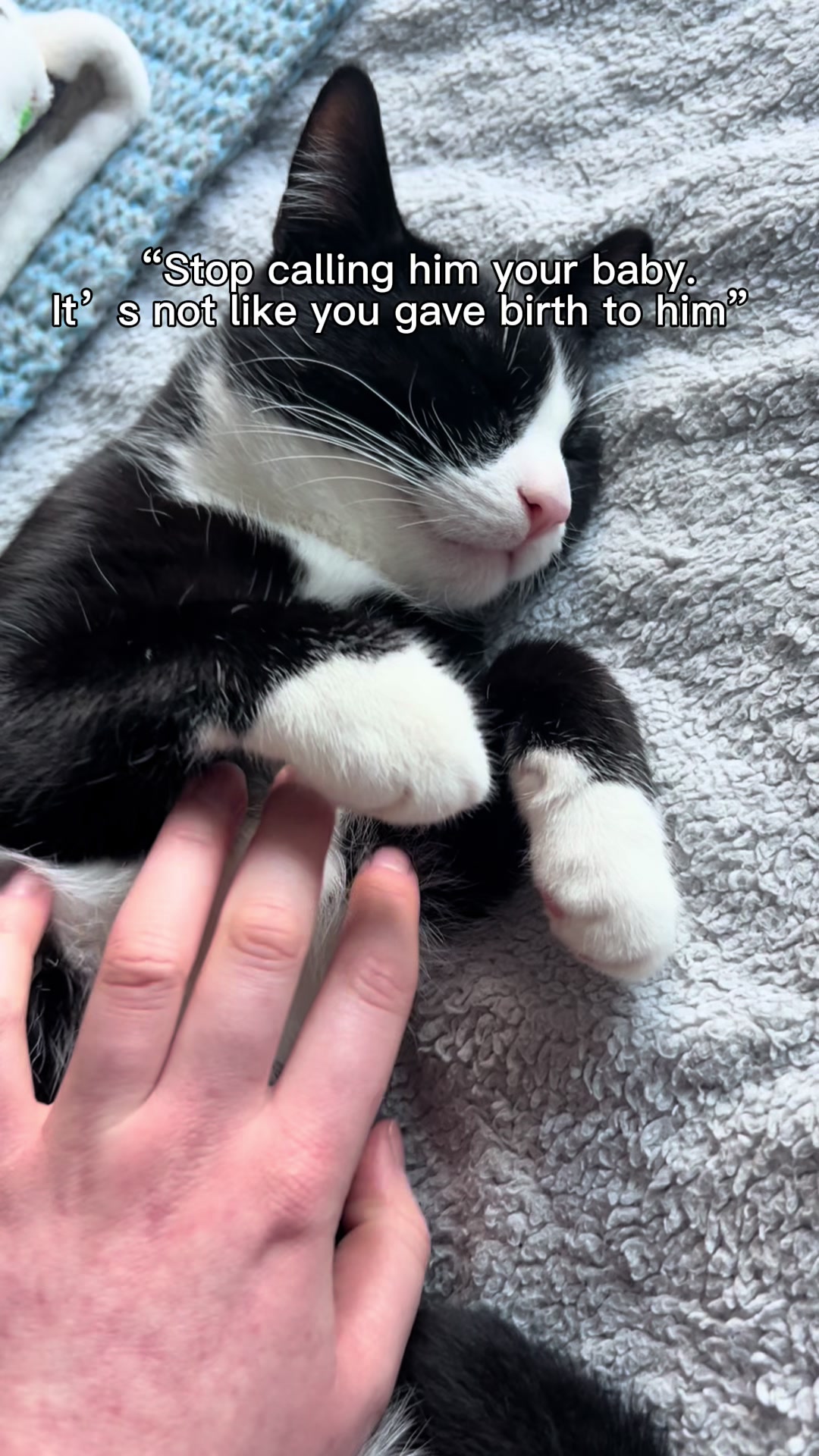 @๐ป๐ถ๐๐๐ถ๐ฝ