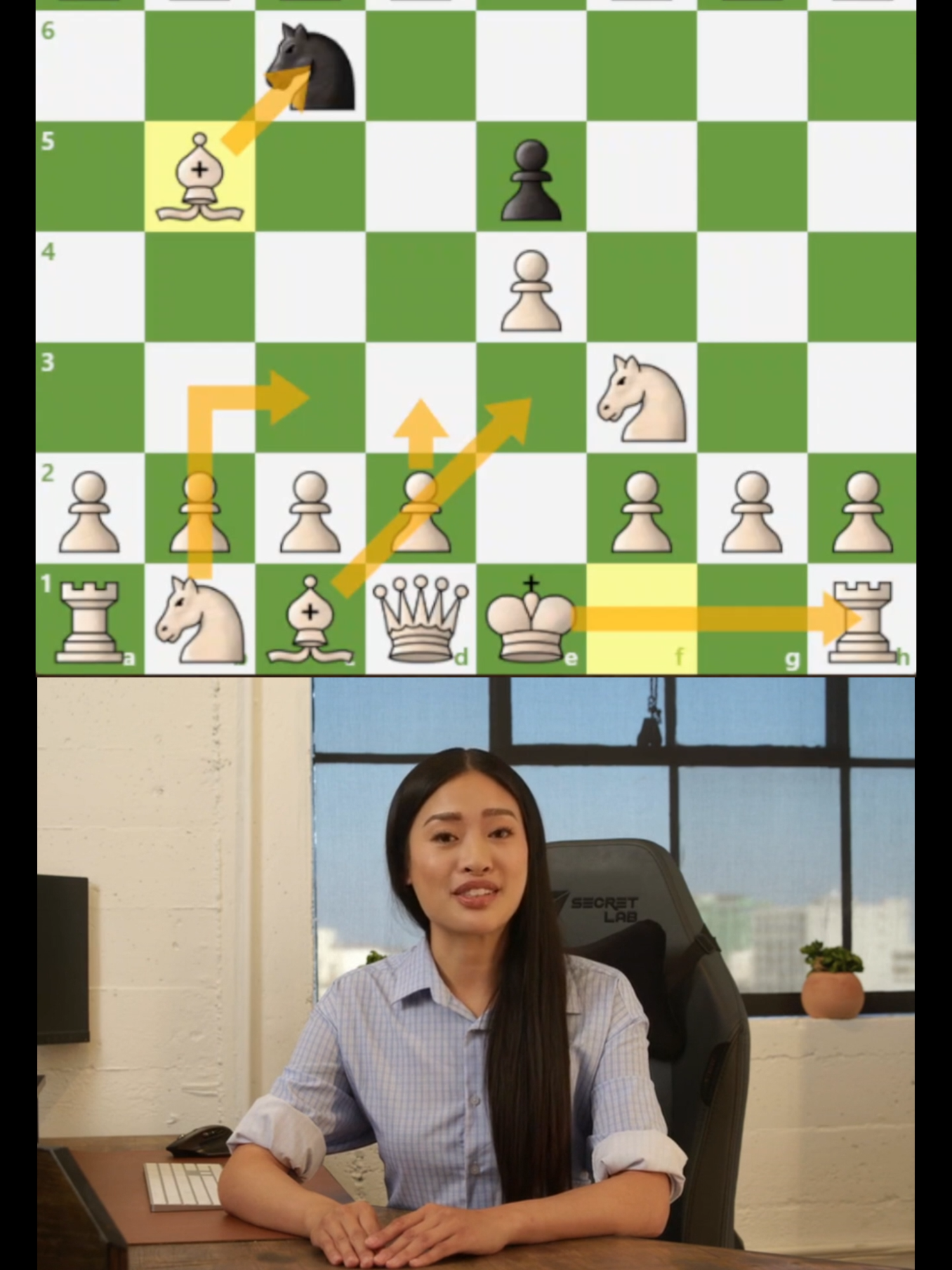 @chessline.io