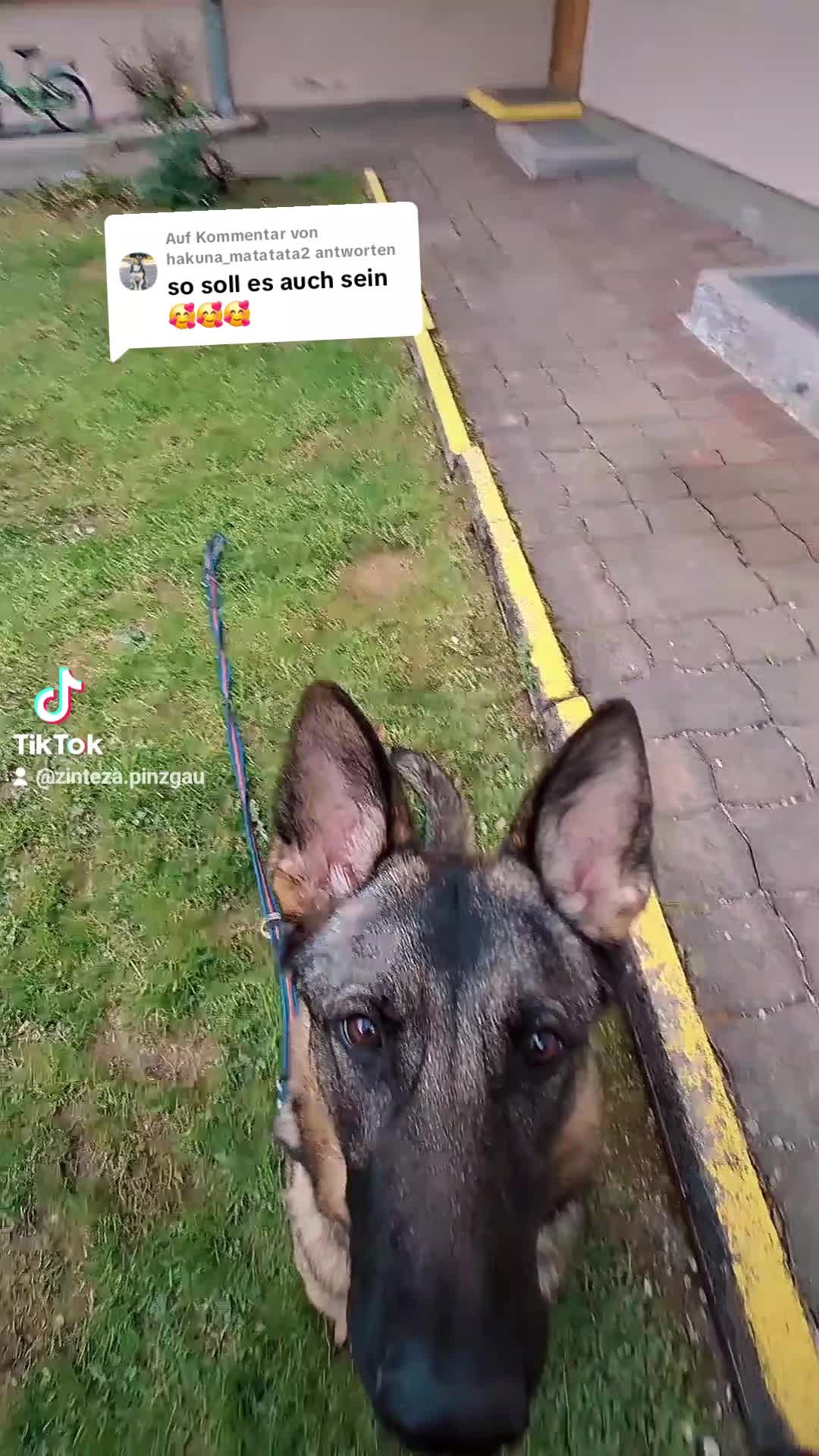 @Zinteza 🏳️&zwj;🌈
