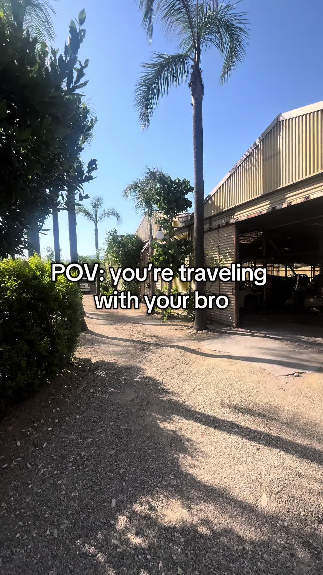 @TheOwlEditor