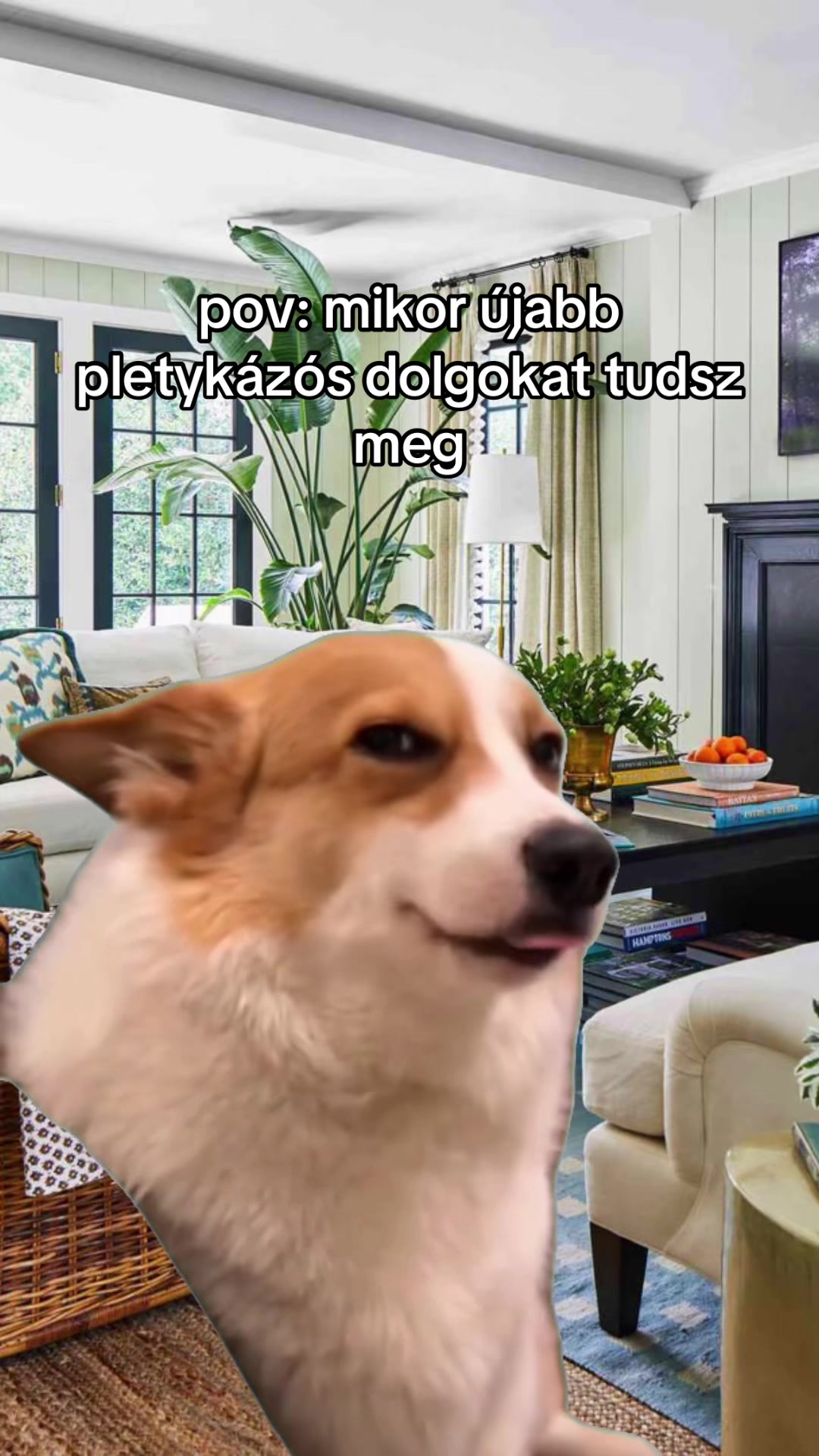 @lilii