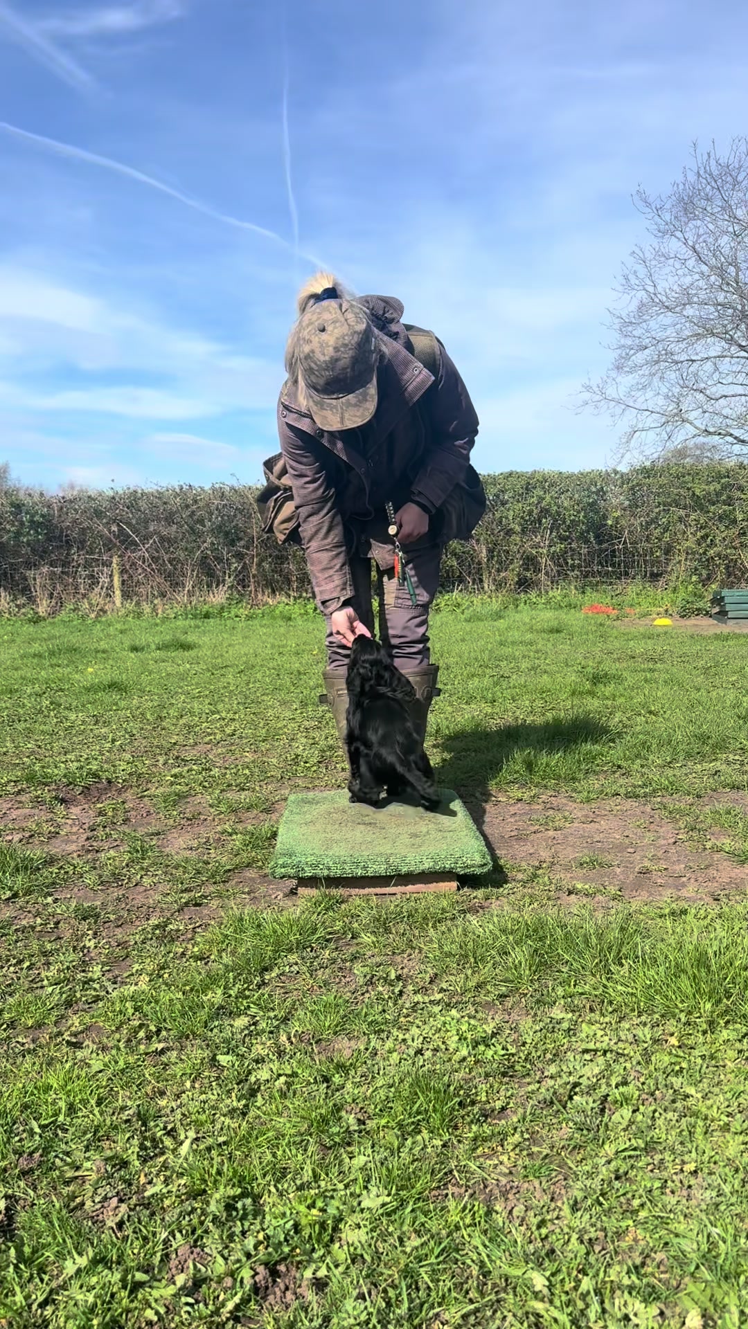 @Trails For Tails Dog Training