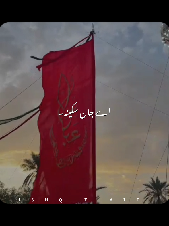 @𝙄𝙎𝙃𝙌 𝙀 𝘼𝙇𝙄 🙌🏻🚩