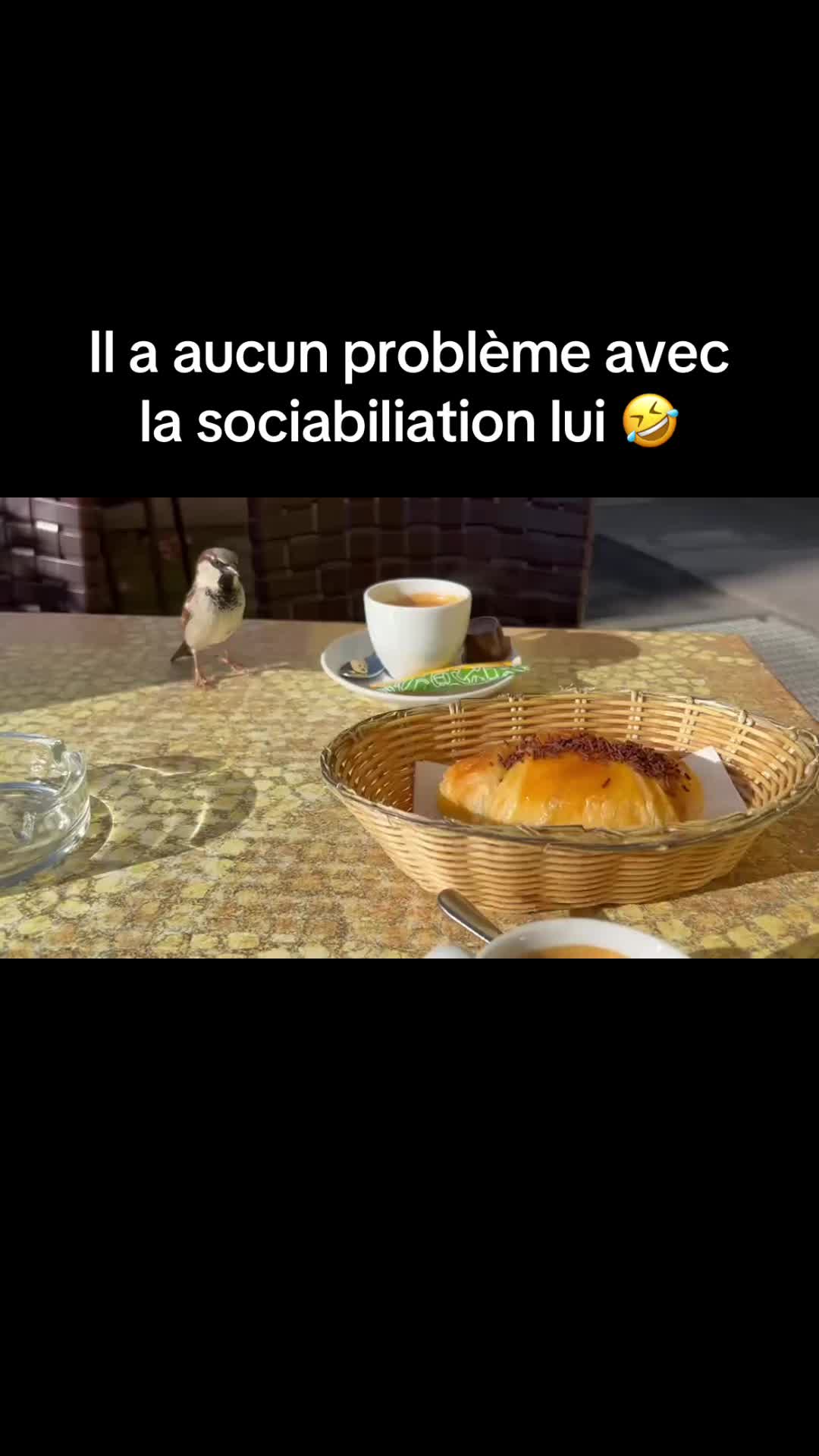 @Le jeune chasseur