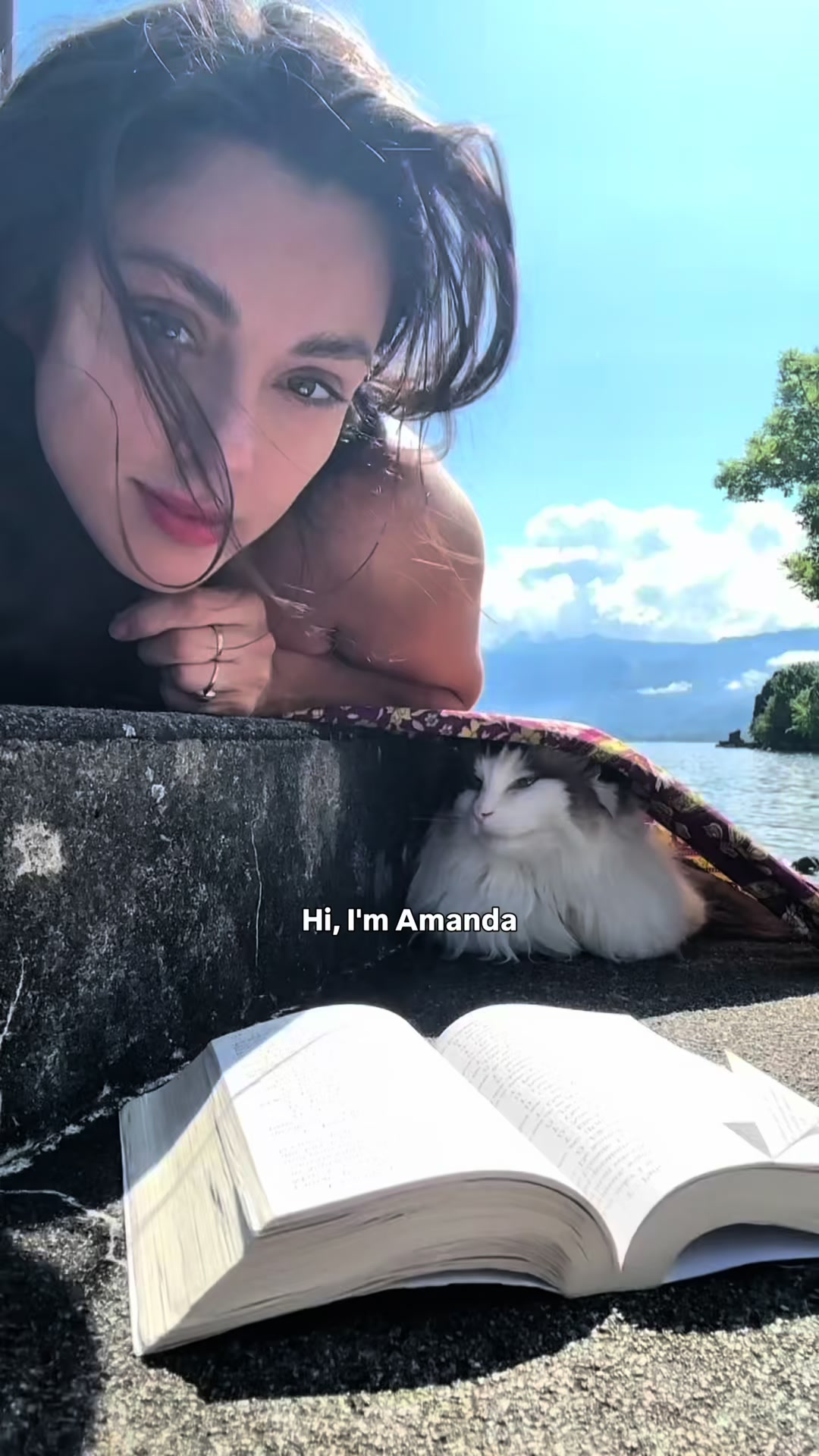 @Lavaux Cat