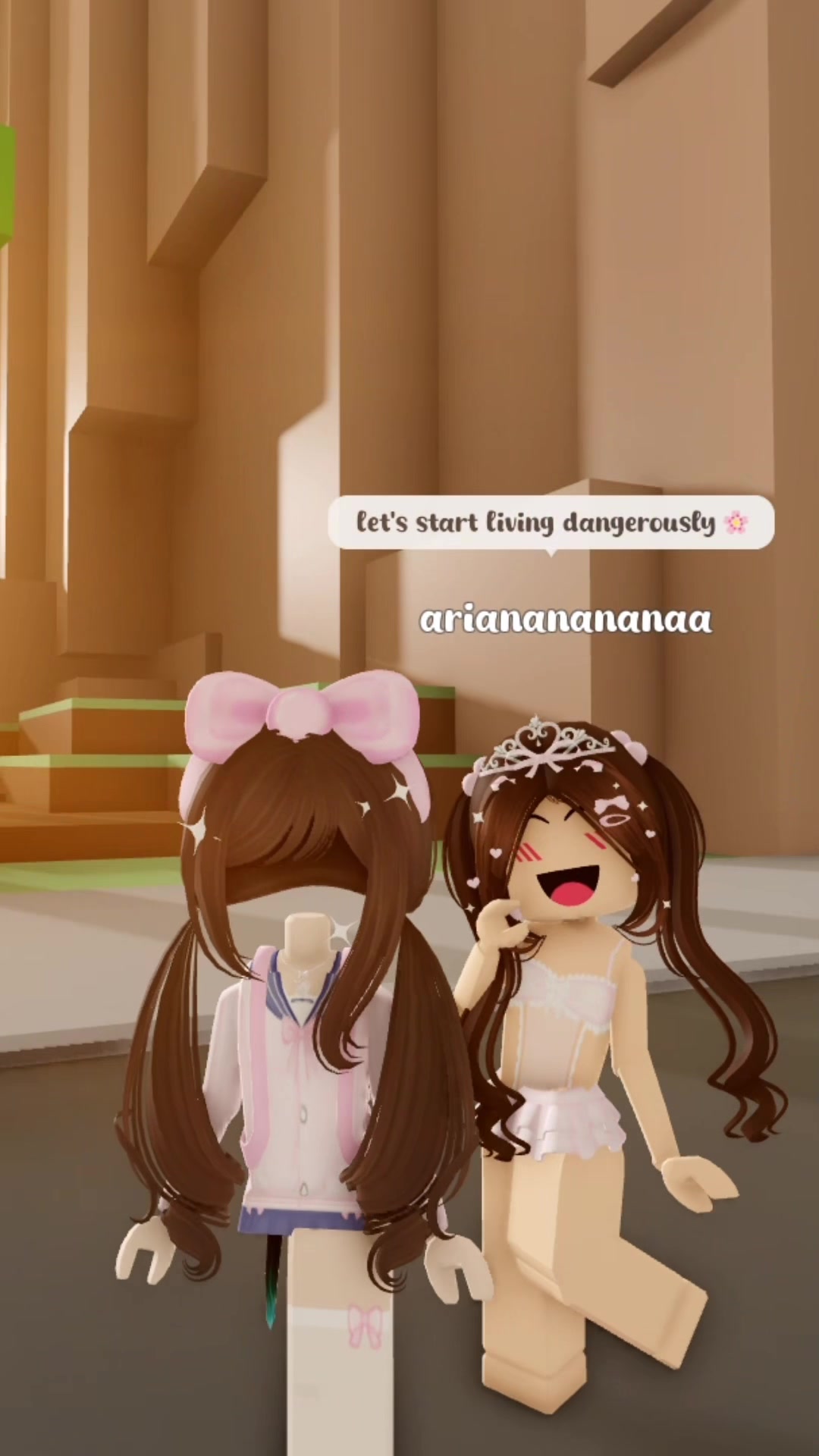 @ari 🦭