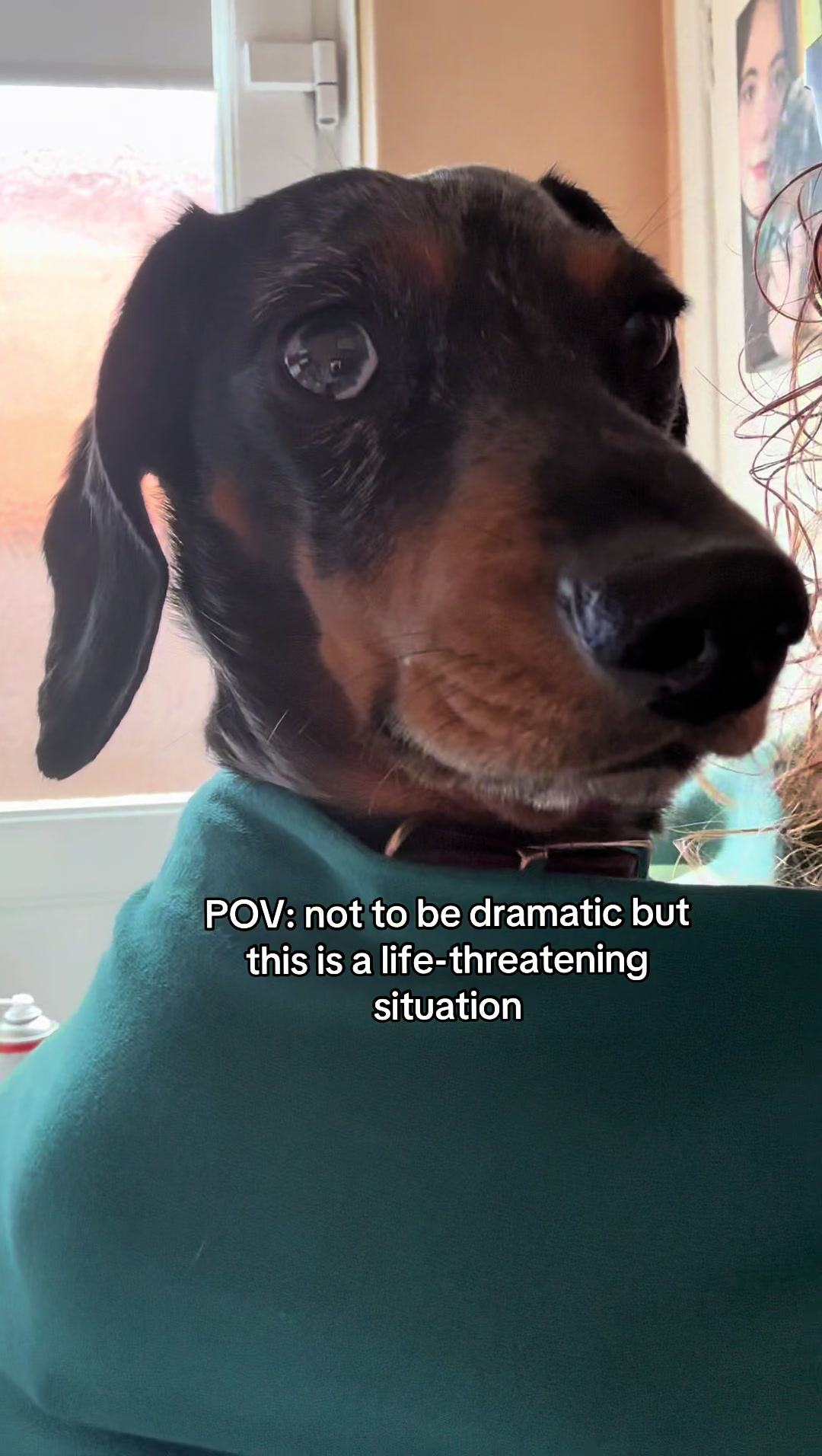 @dibblydobbly_dax
