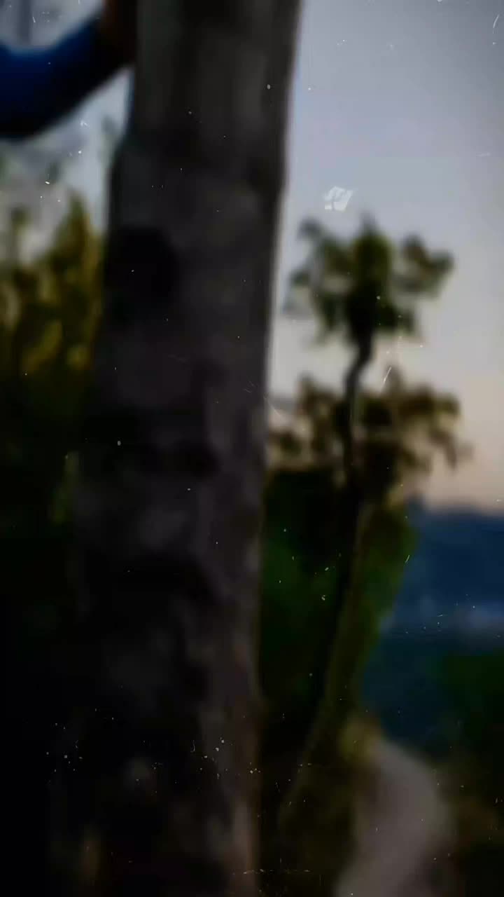 @📸 𝐃𝐢𝐫.𝐁𝐨𝐨𝐬𝐓 📸