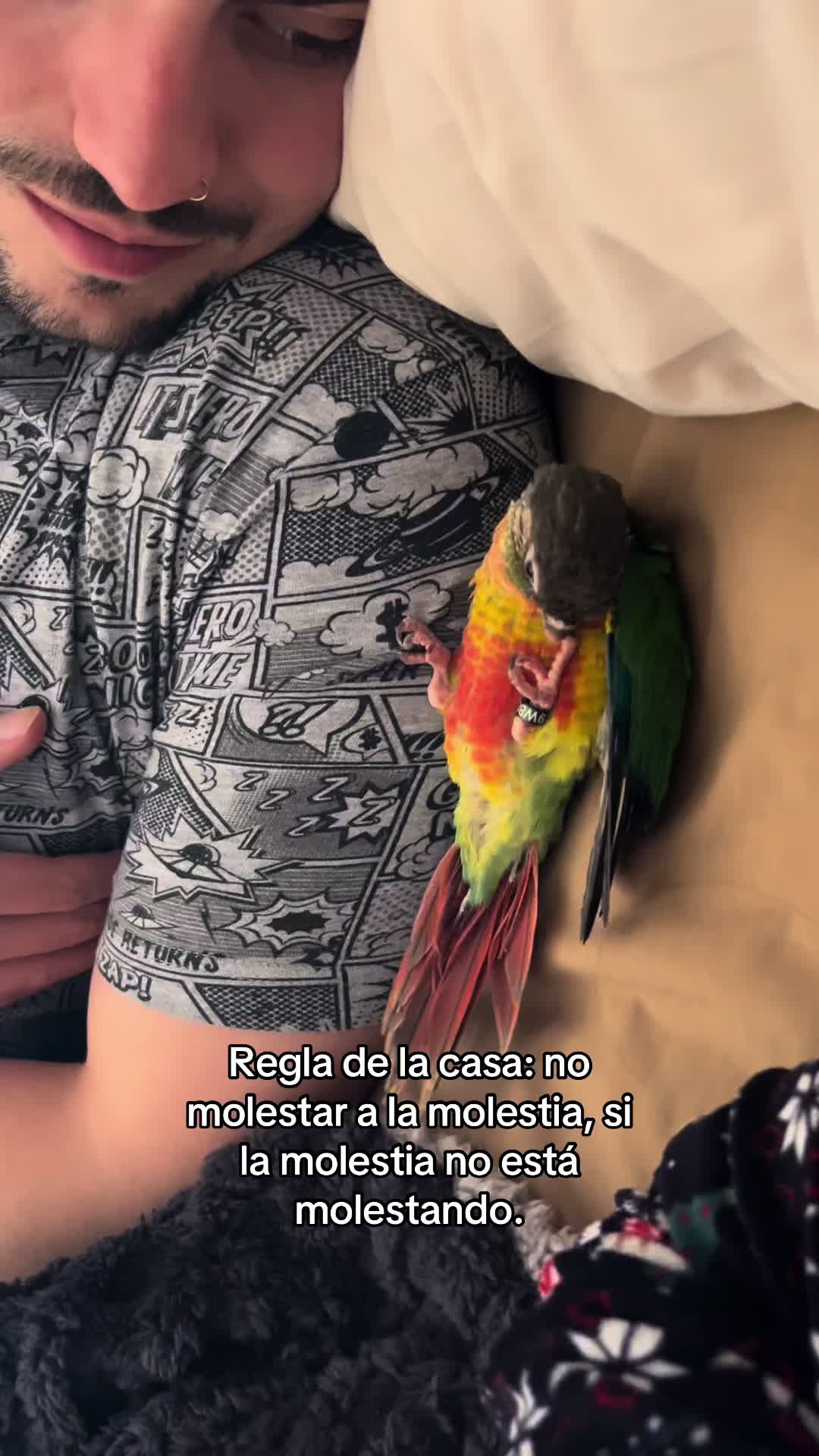 @Carla Basso