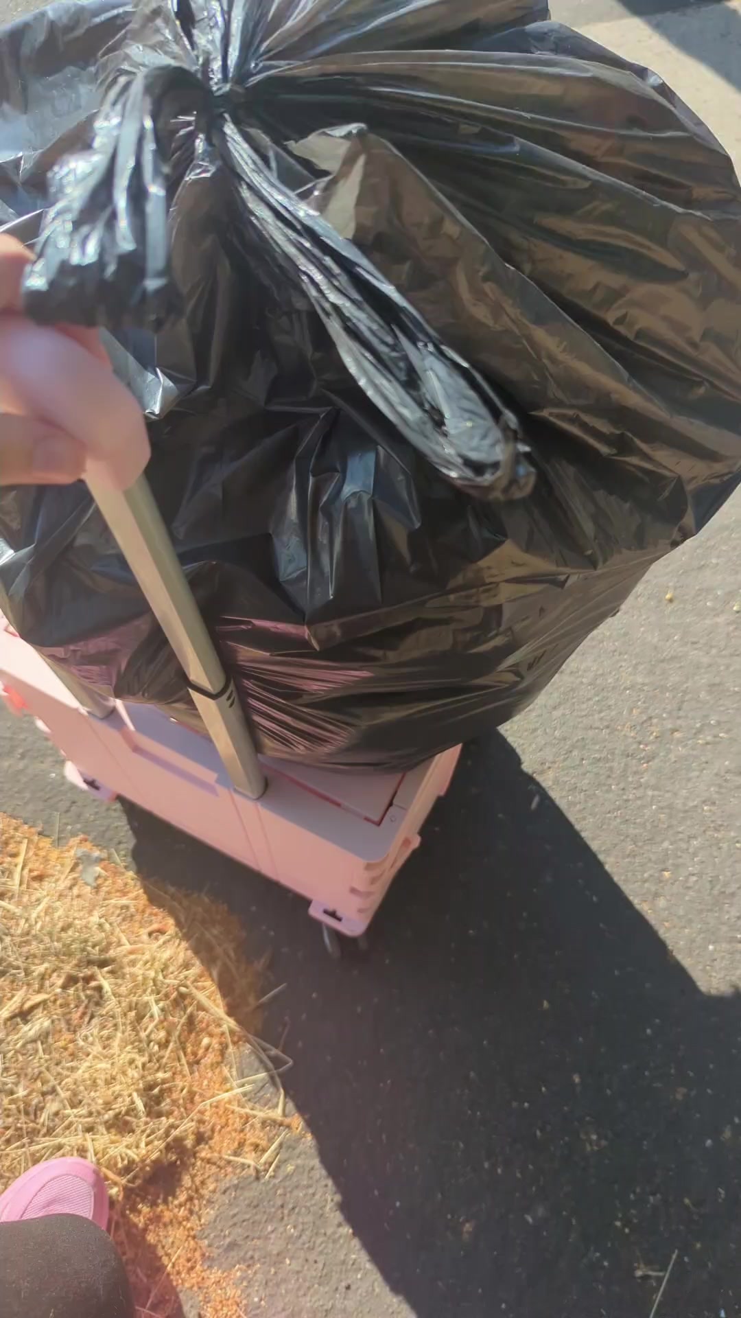 @⭐🌌 Are you Starstruck? 🌌⭐
