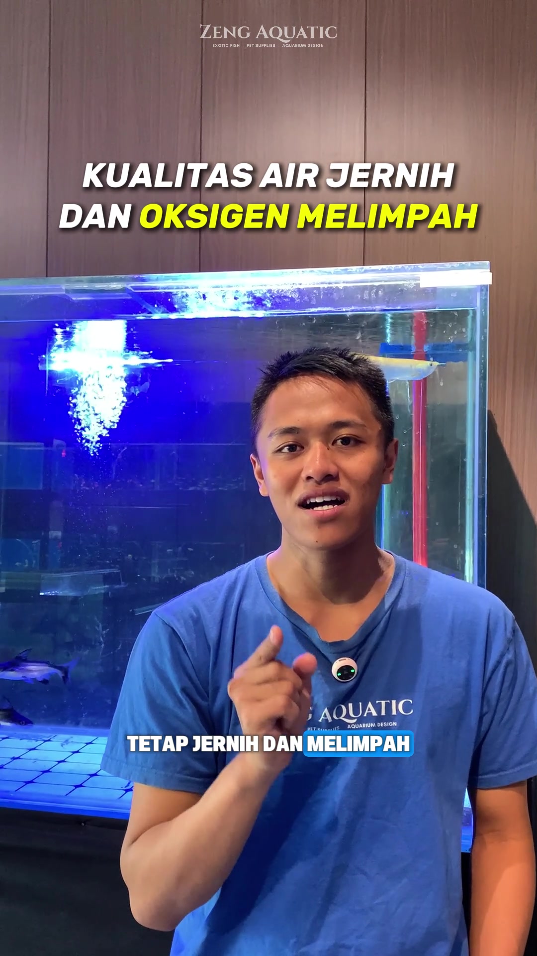@Zeng Aquatic Indonesia