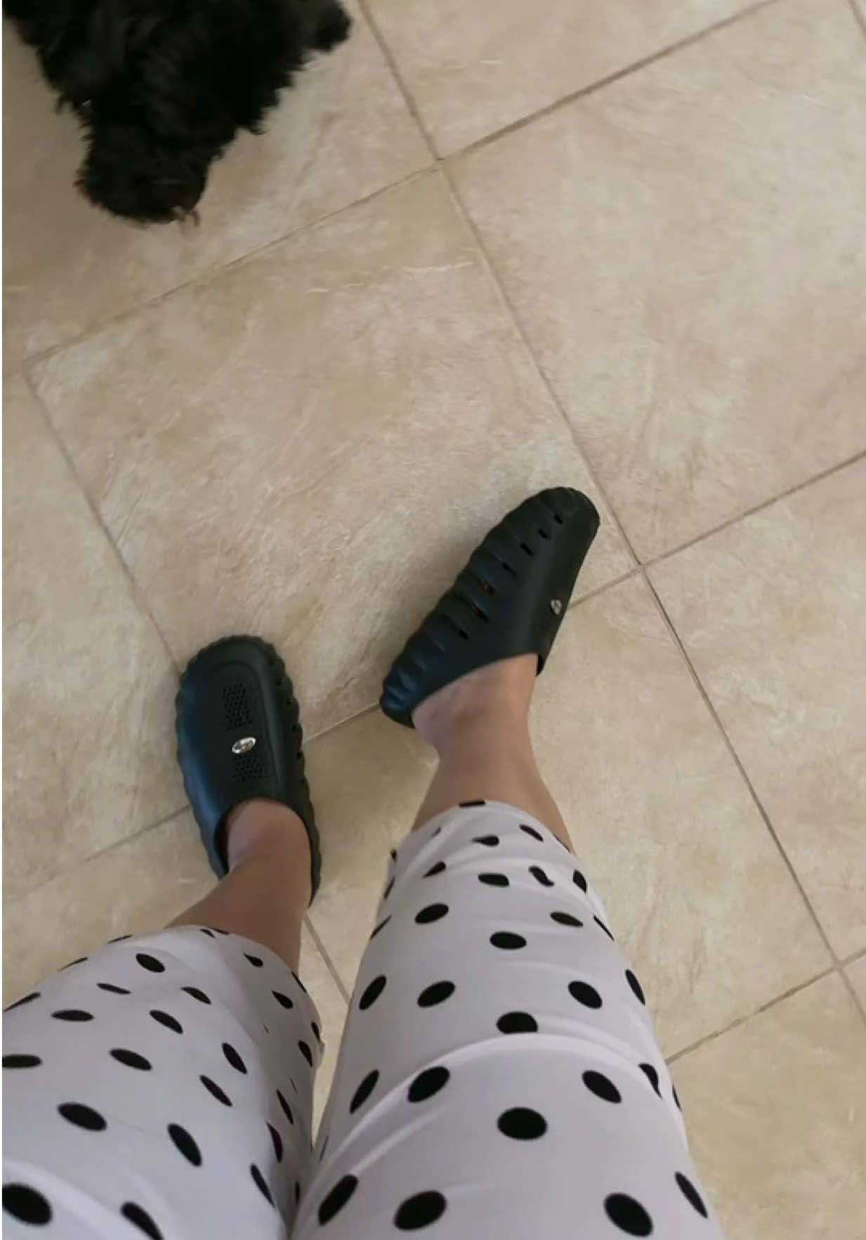 @Bubbles 🫧🧸