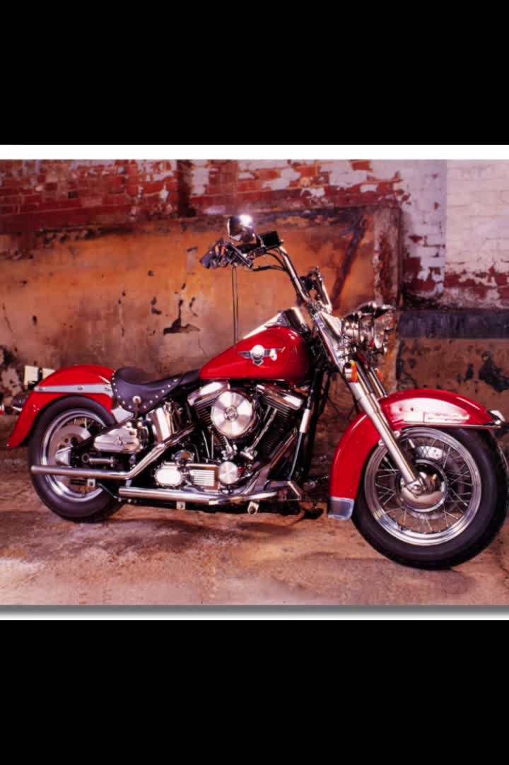 @Shrinkie_dink70