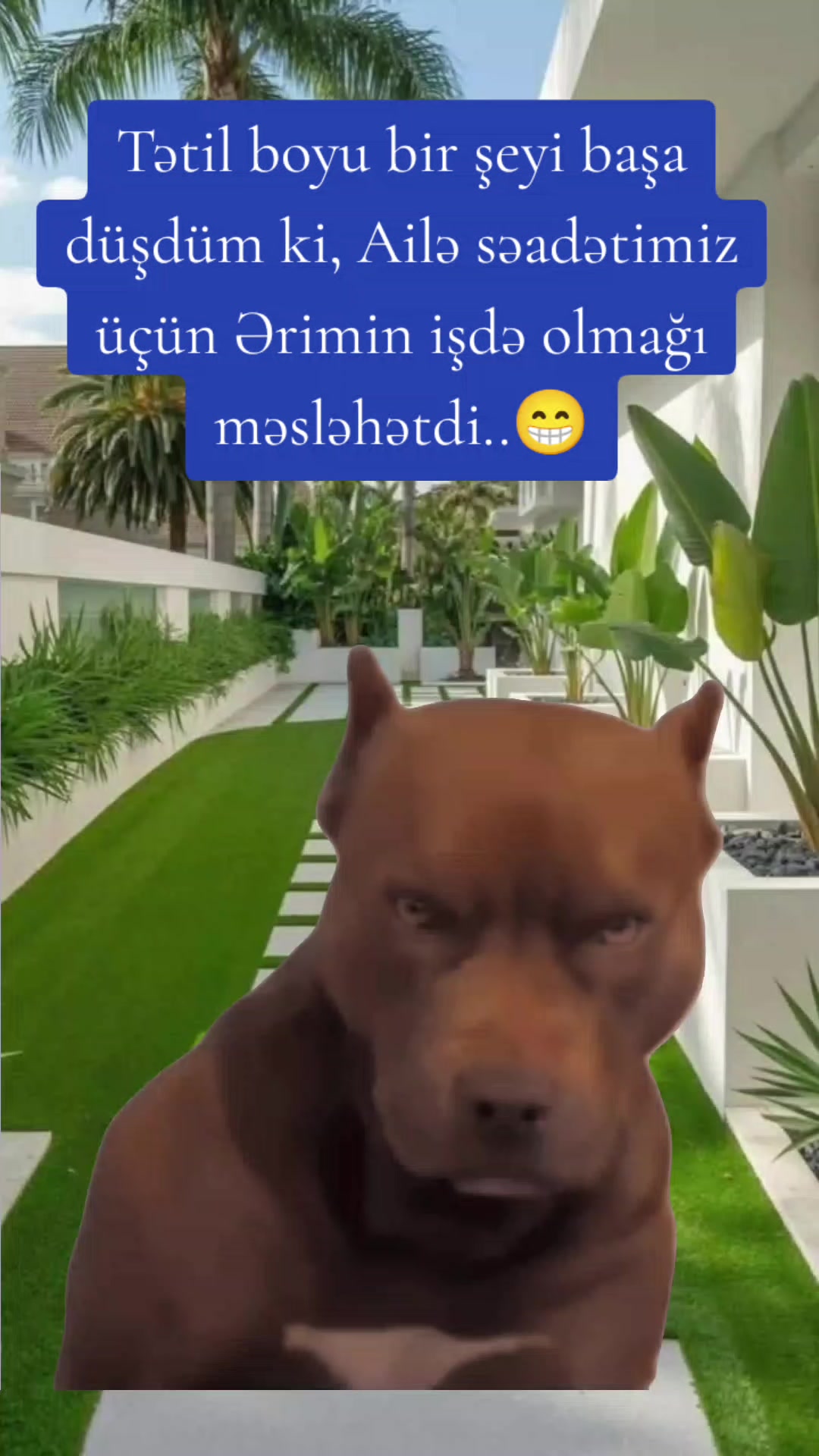 @ArzuMMooD♑