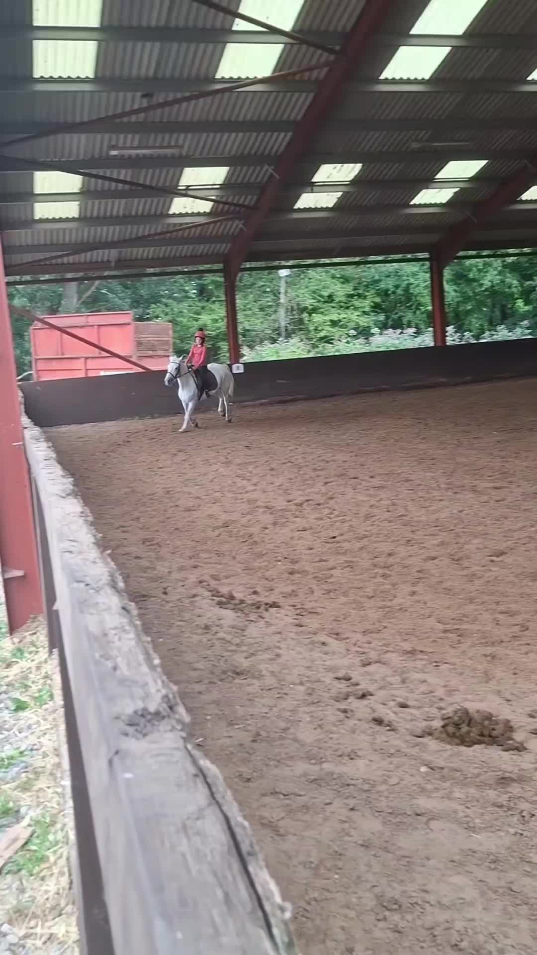 @Scarlett🐴🌾