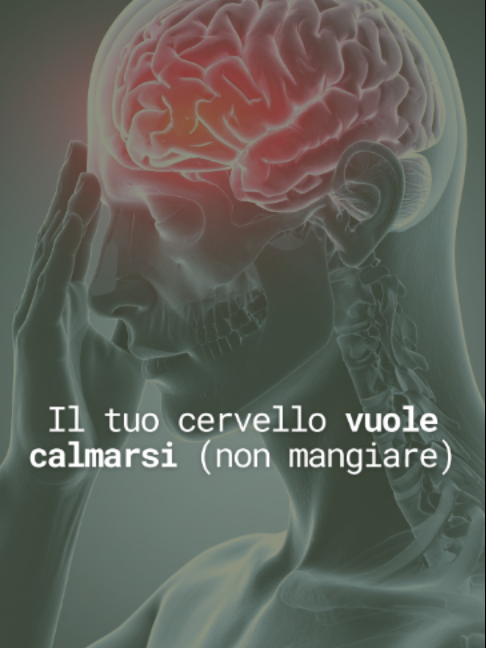 @elenabazzoli.doc
