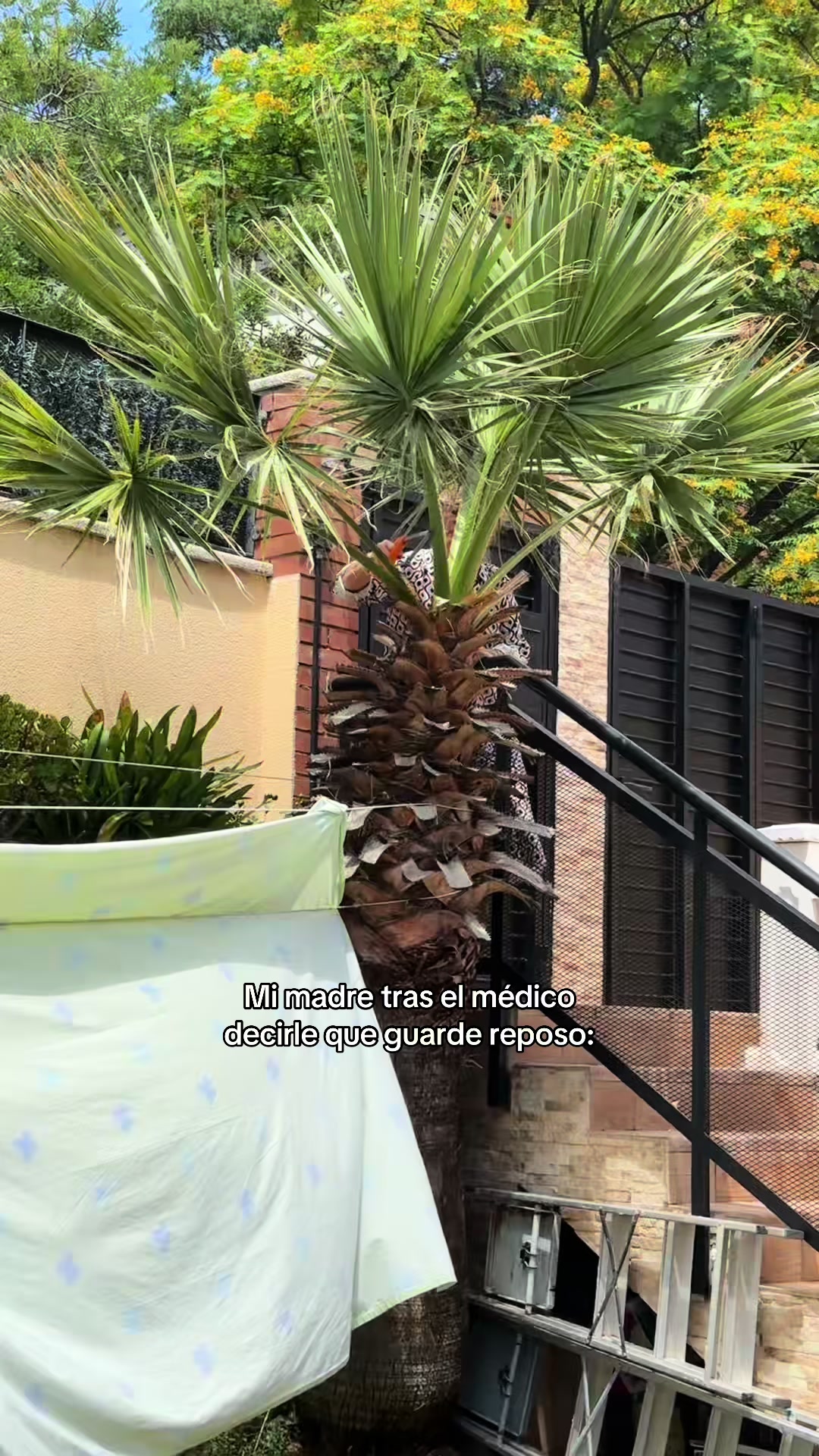 @Paula Collantes