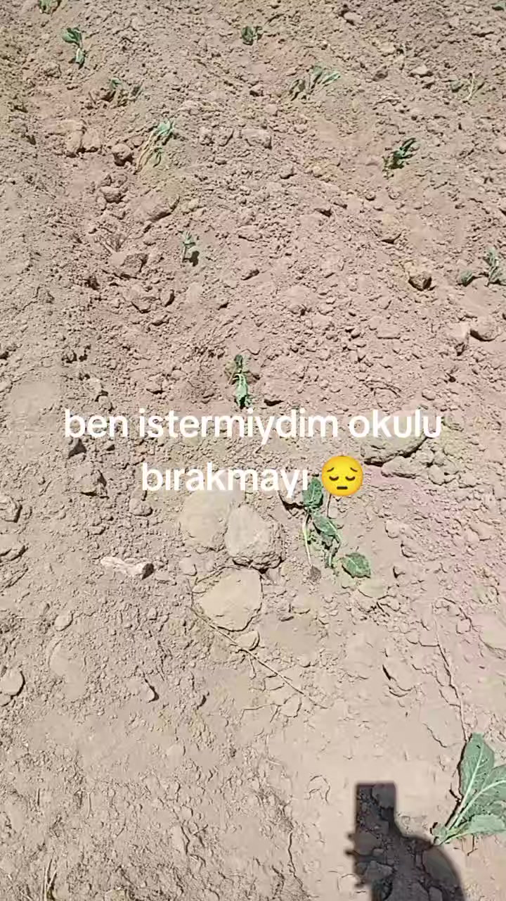 @El Nurdo Aşireti