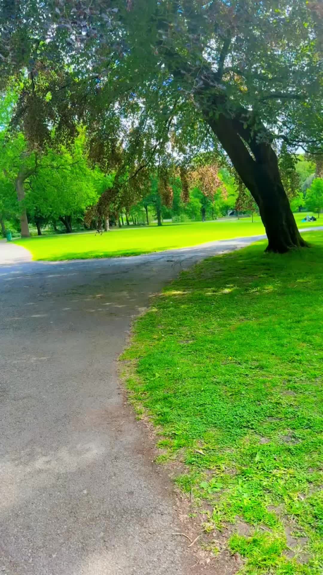 @naureenakhtar962