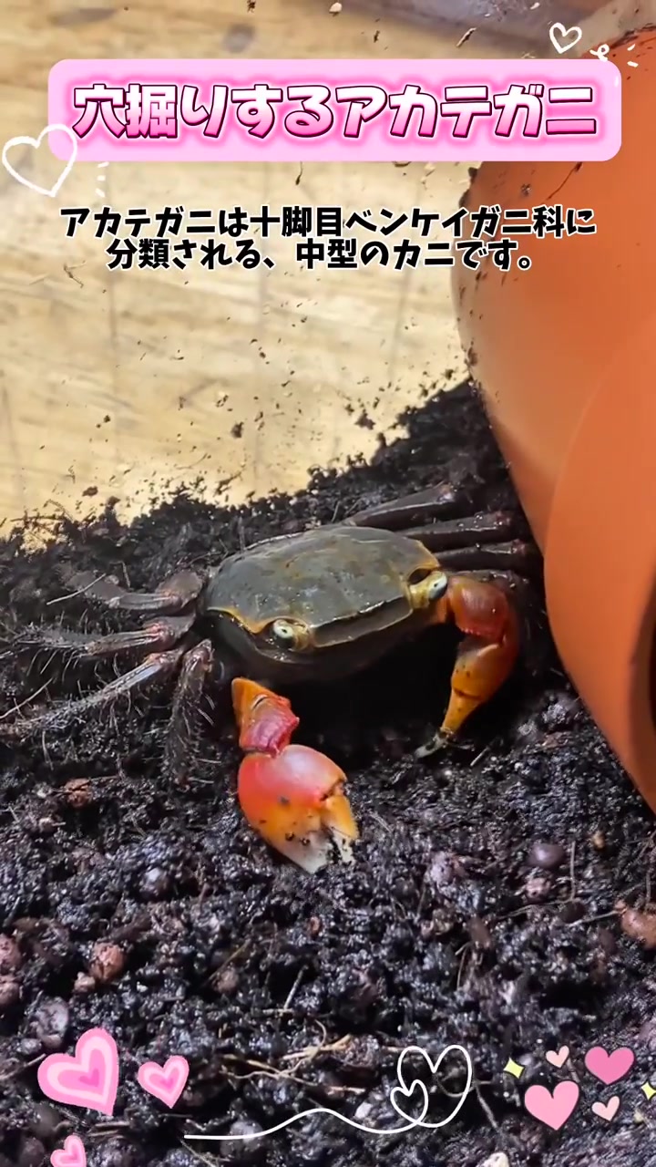 @yu_zuki.7