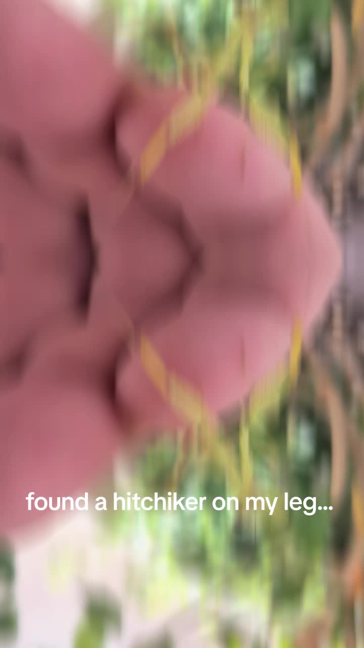 @Daniel Barratt
