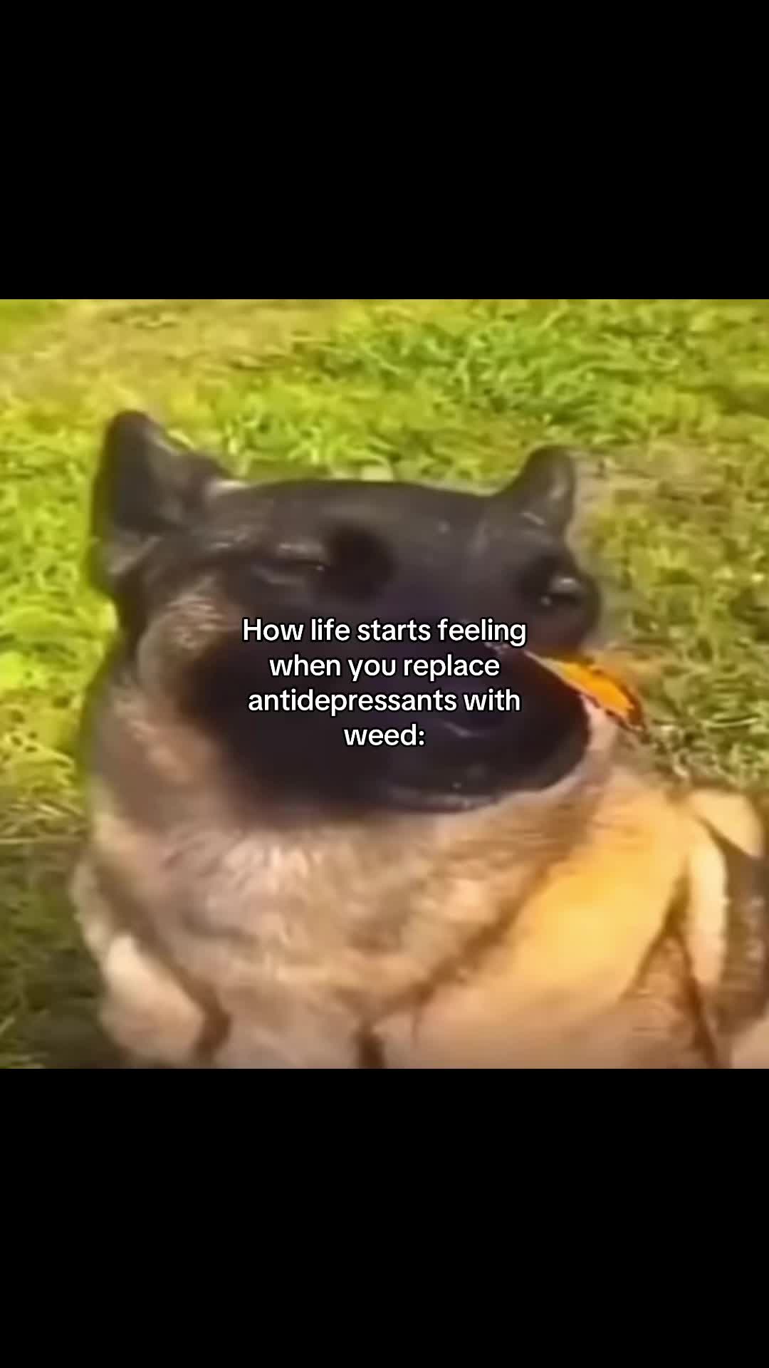 @Meteorita