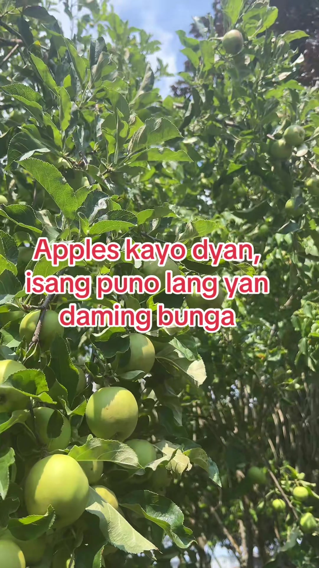 @🇵🇭Yen🇺🇸