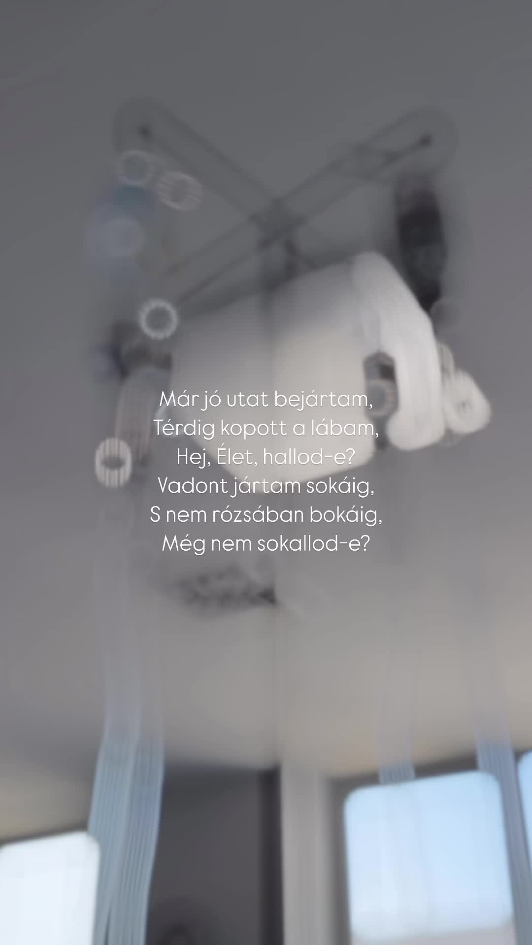 @Lilla Hollósi-Én és a Nyúlcipő