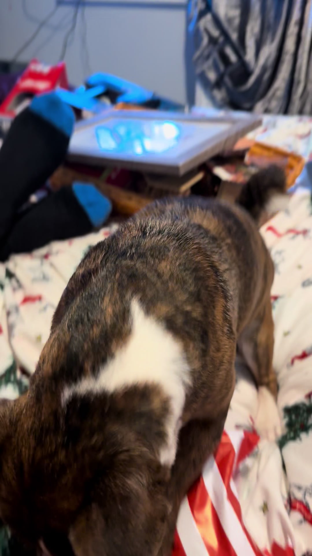 @Dani Jones