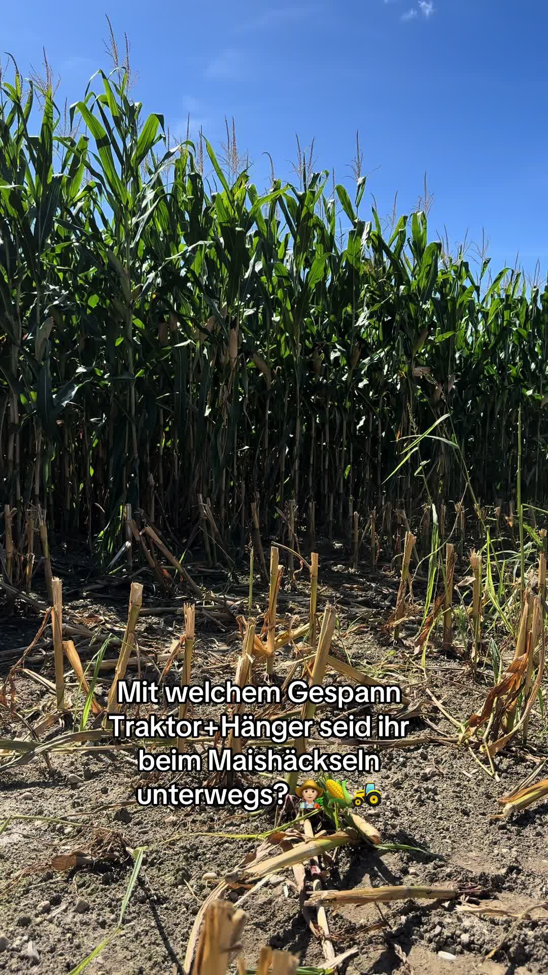 @FarmTok