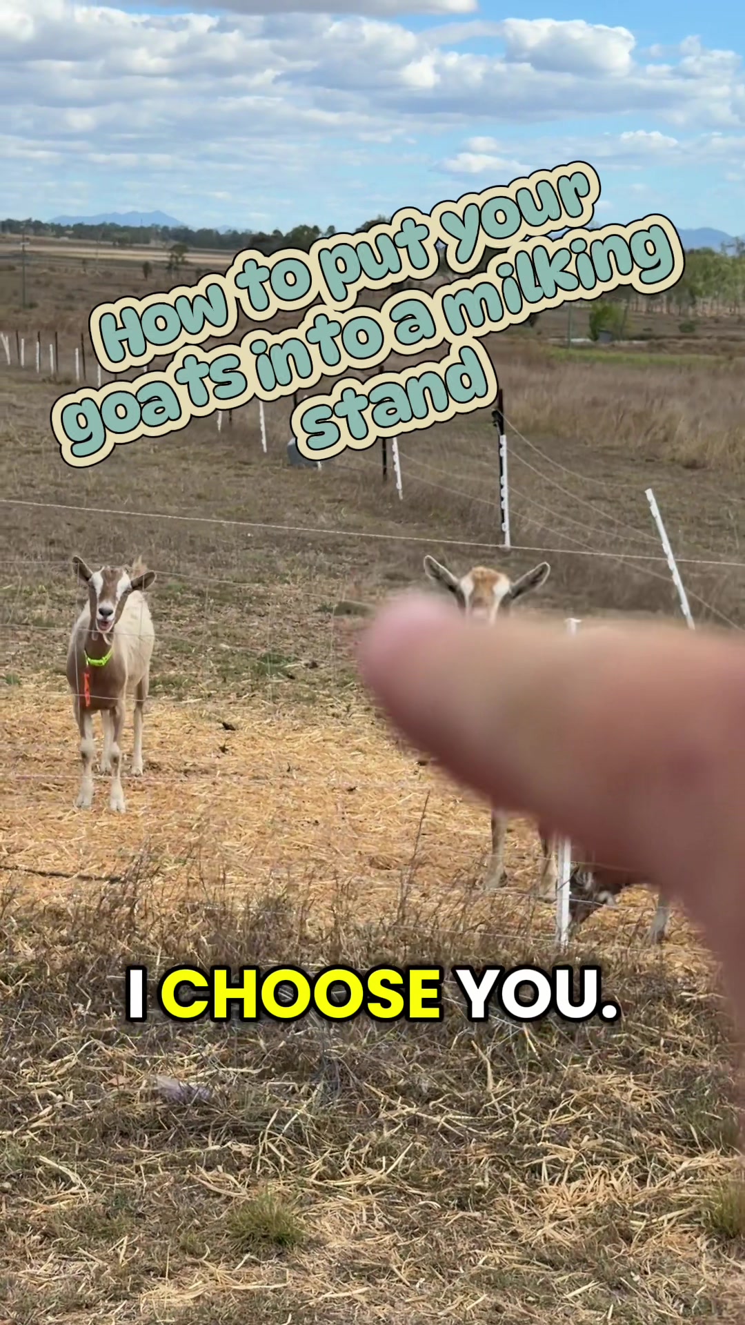 @Thegoatfather