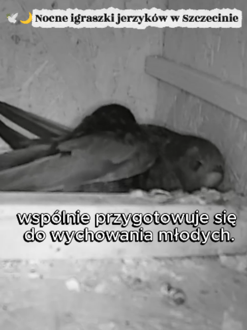 @andrzejfilipowicz00