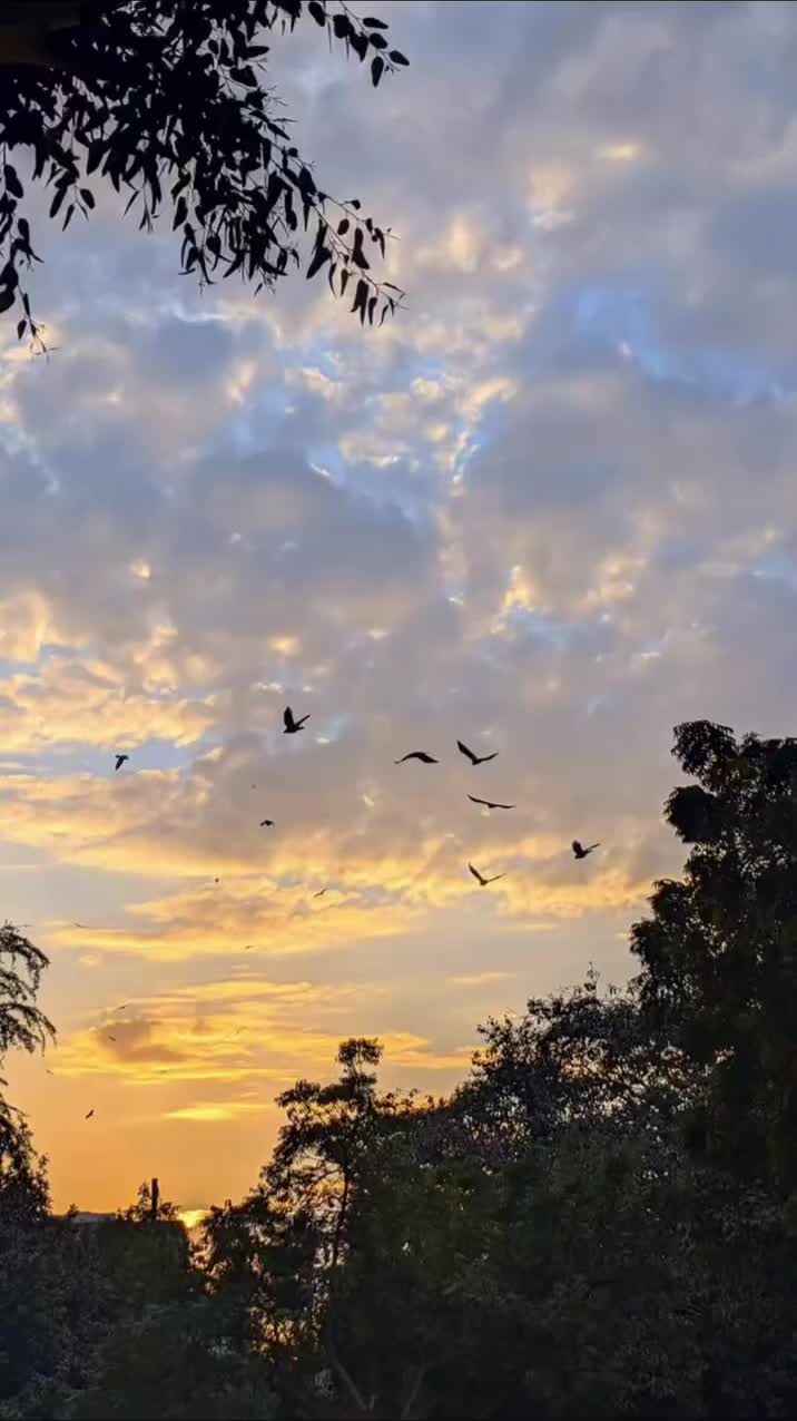 @waheguru di gal
